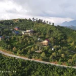 Bất Động Sản Xanh Là Gì