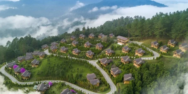 vinhxd_comcong-dong-lang-oa-aman-blao-1