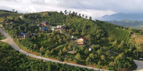 vinhxdcom_bat dong san xanhx