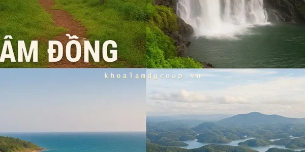 vinhxdcom_lam dong moi